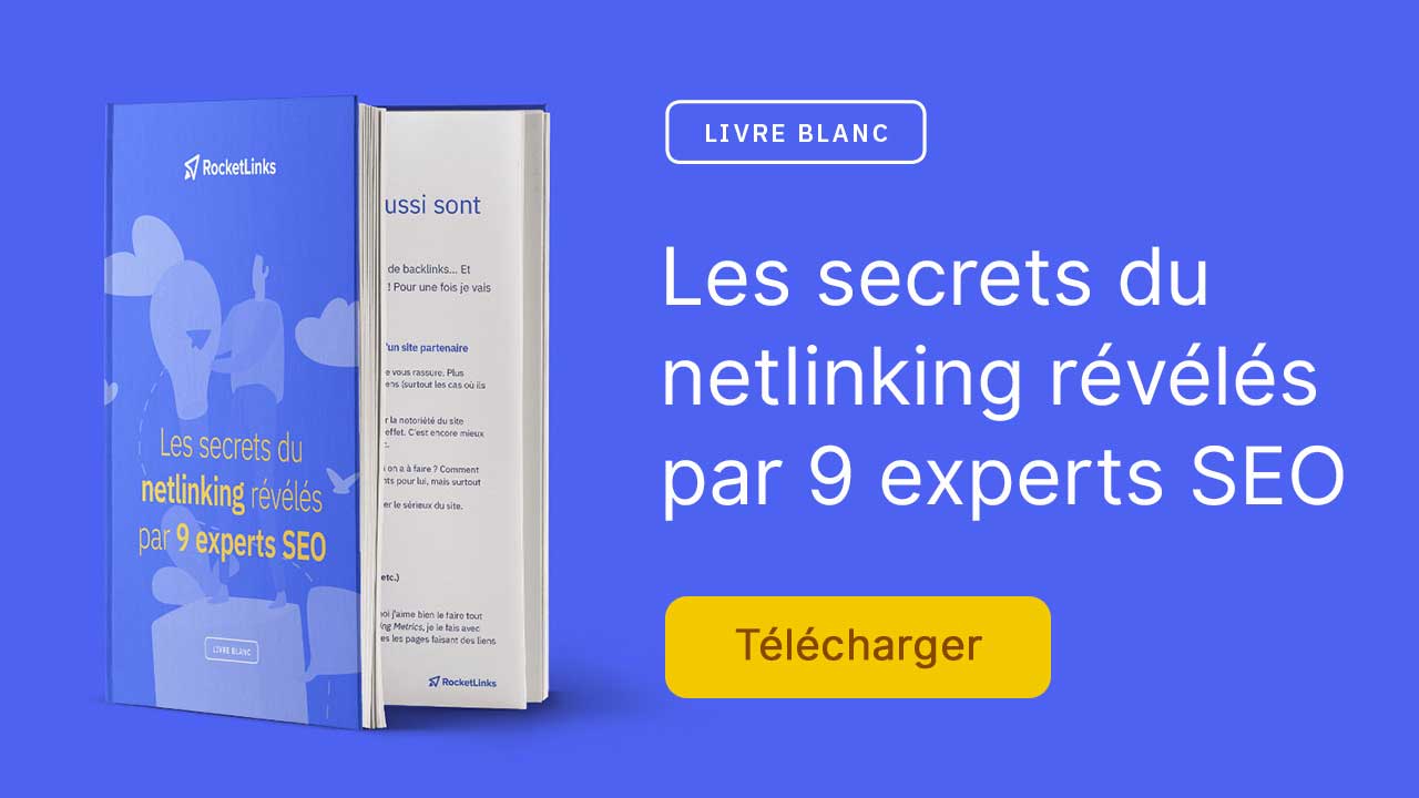 Livre blanc netlinking