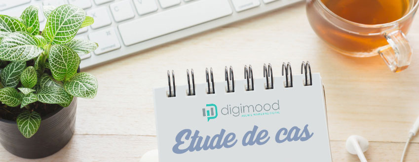 Etude de cas : SEO de niche et sortie de pénalité Penguin 4.0